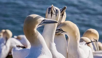 九游：让游戏不再难以选择的全方位体验平台